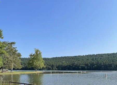 Cove Lake Campground