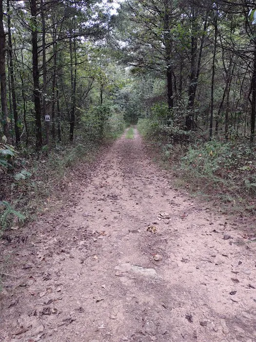 Mount Magazine Horse Camp Trail Head Picture 4