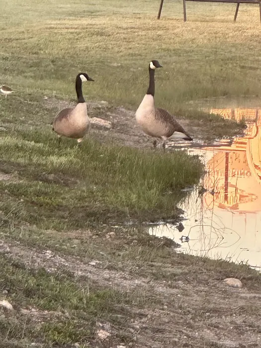 Granbury RV Park Picture 10