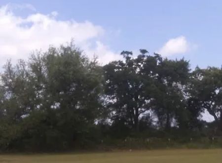 Lone Star RV Ranch