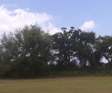 Lone Star RV Ranch