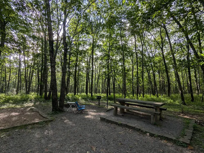 Cameron Bluff Campground Picture 4