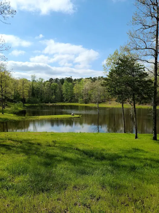 Goose Pond Road Camp Picture 1