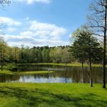 Goose Pond Road Camp
