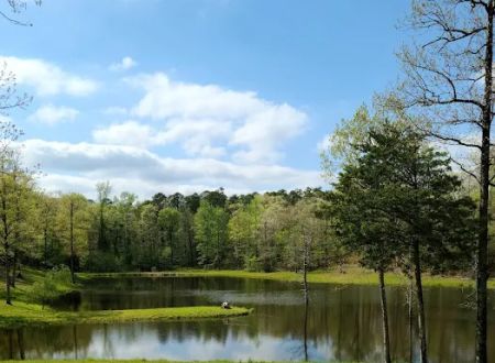 Goose Pond Road Camp