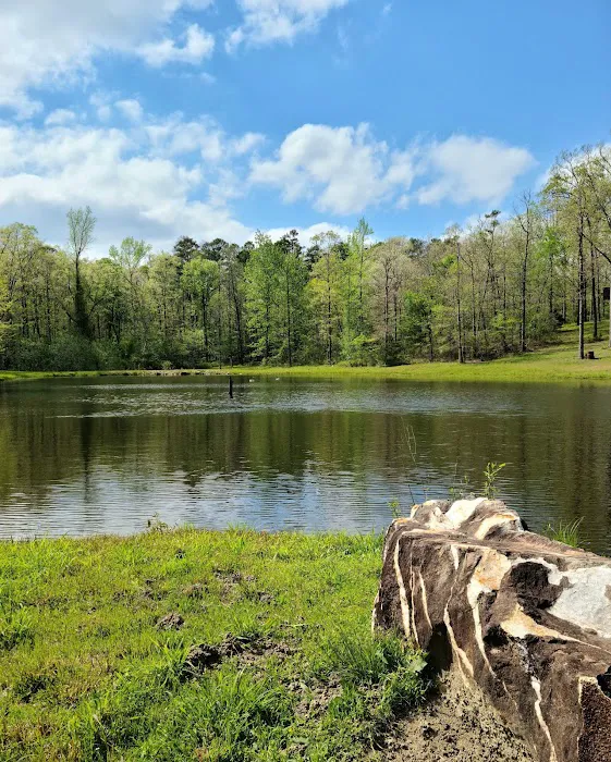 Goose Pond Road Camp Picture 2