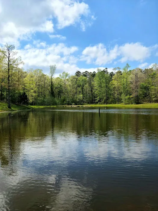 Goose Pond Road Camp Picture 4