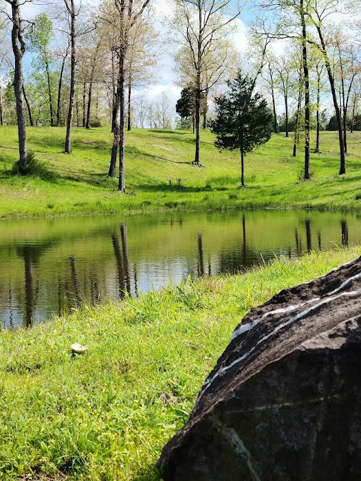 Goose Pond Road Camp Picture 5