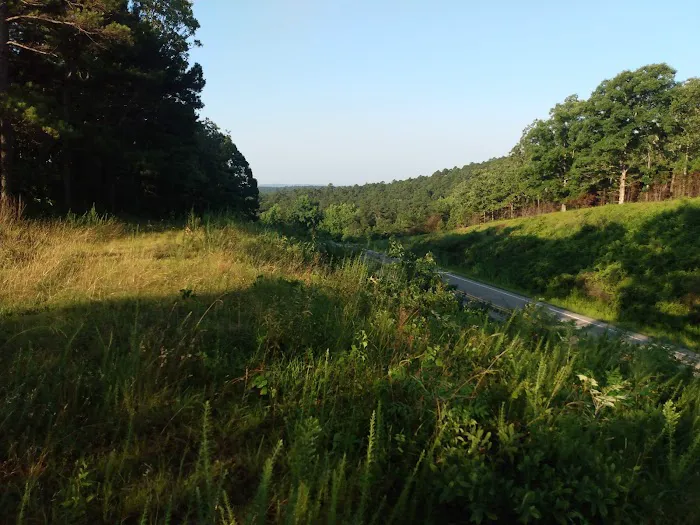Fourche Mountain Recreation Area Picture 2