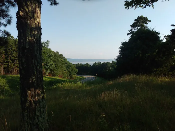 Fourche Mountain Recreation Area Picture 1