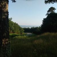 Fourche Mountain Recreation Area ico