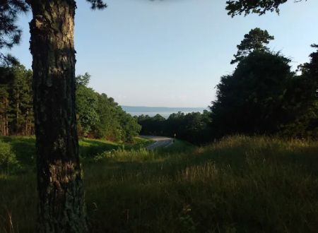 Fourche Mountain Recreation Area