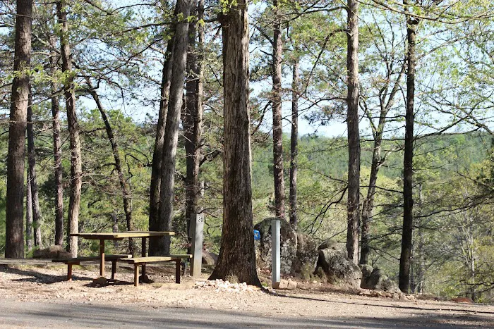 Crystal Ridge RV Park At Ron Coleman Mining Picture 4
