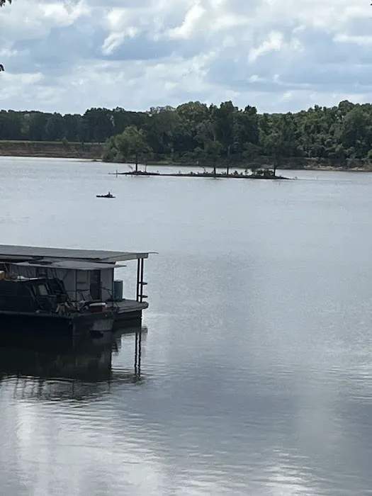 Joey's Moon Lake Marina Picture 1