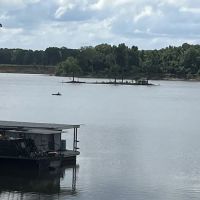 Joey's Moon Lake Marina ico