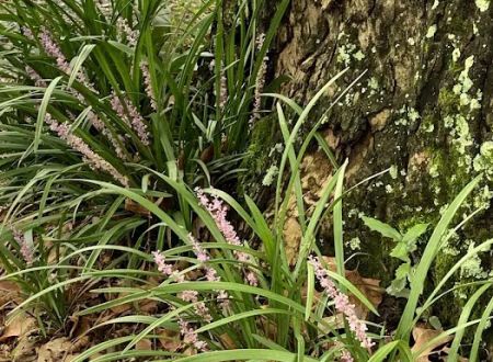 Bayou Boeuf RV & Campgrounds