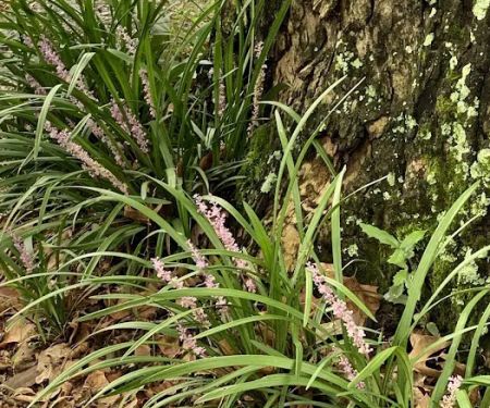 Bayou Boeuf RV & Campgrounds