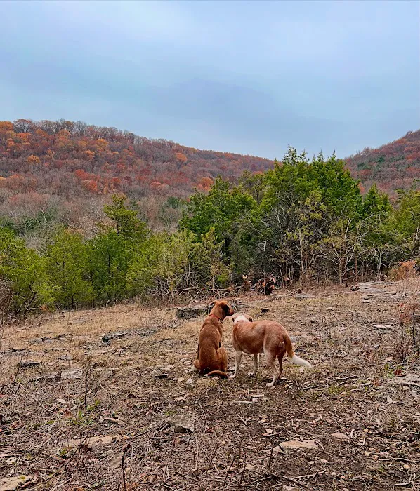Cold Creek Valley Picture 2