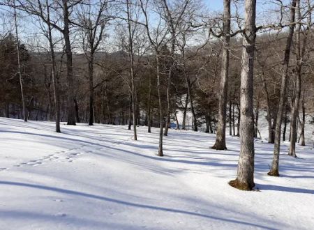 Paradise Cove Camping Resort