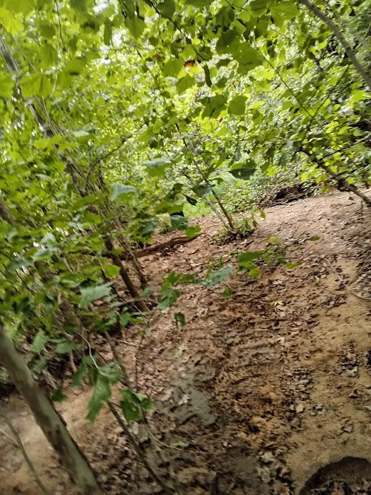 Kings Crossing RV Park and Campground Picture 5