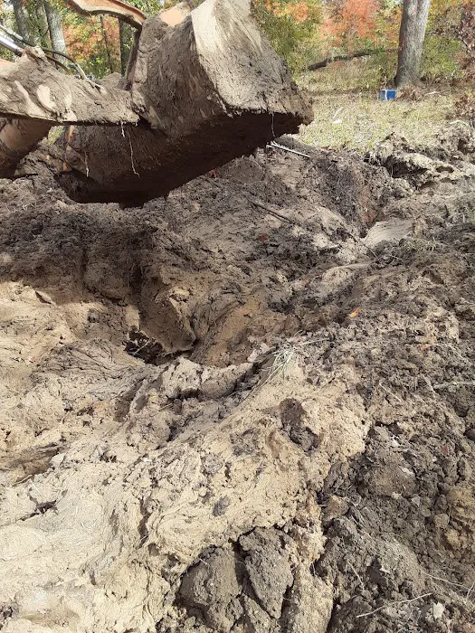 Oak Alley Mobile Home Park Picture 1