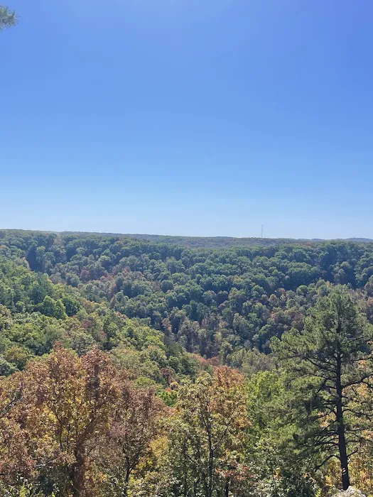 Beaver, Arkansas Picture 4