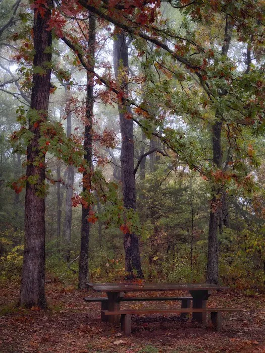 Sugar Camp National Forest Scenic Byway Picture 4