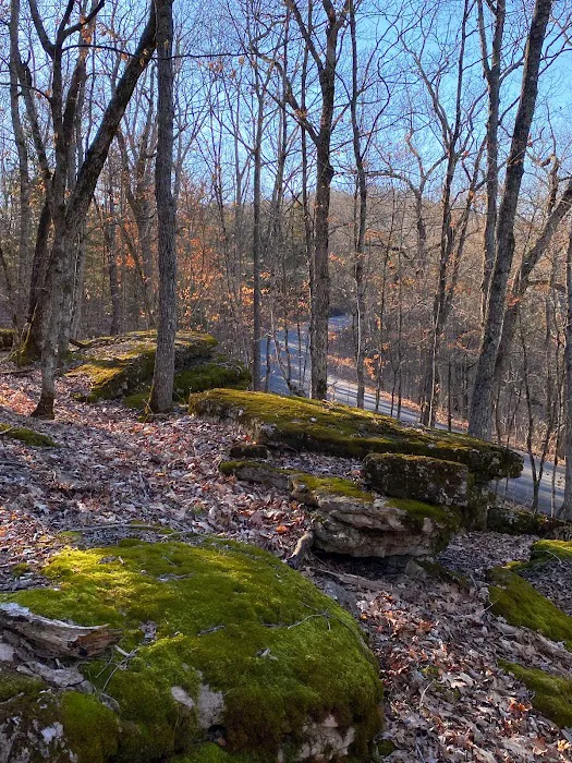 Sugar Camp National Forest Scenic Byway Picture 3