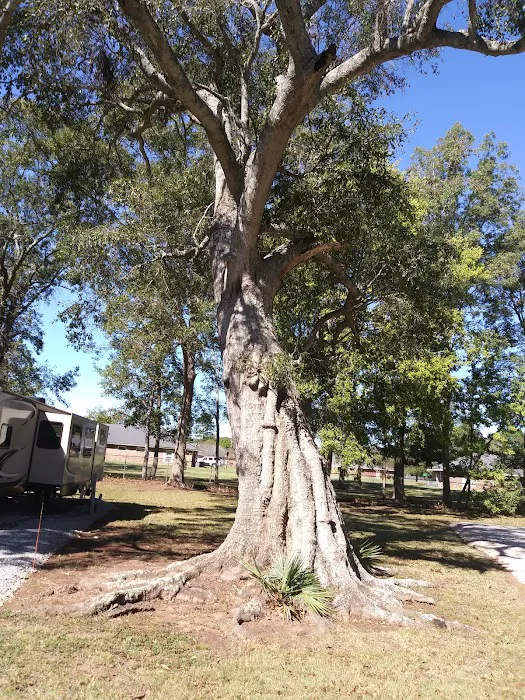 Alexandria RV Park Picture 7