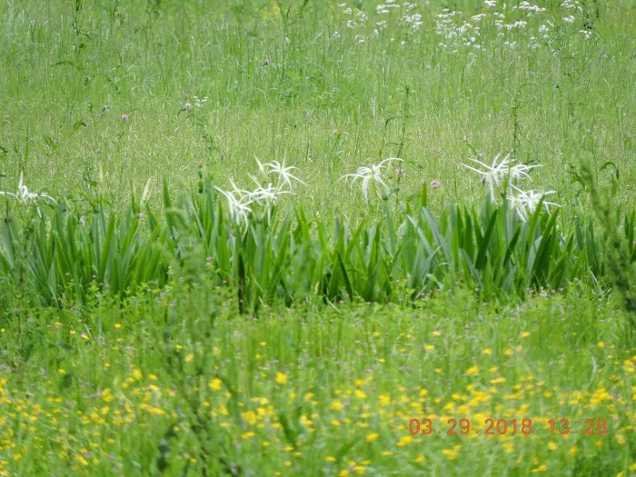 Alexandria RV Park Picture 9