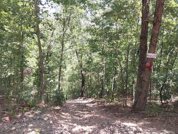 Eureka Springs Adventure Park Picture 2