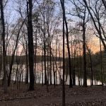 Karst Loop Campsite 3