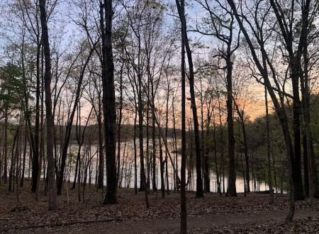 Karst Loop Campsite 3
