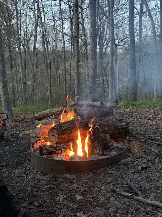 Pigeon Roost Campsite 3 Picture 4
