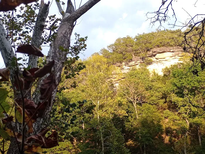 Parker Bottoms Campground Picture 4
