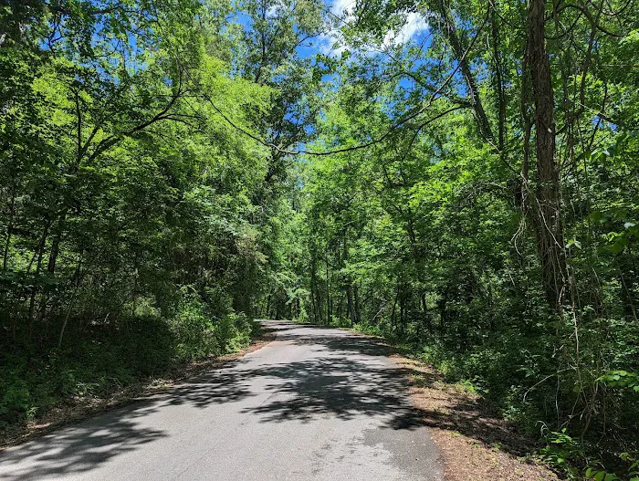 Parker Bottoms Campground Picture 10