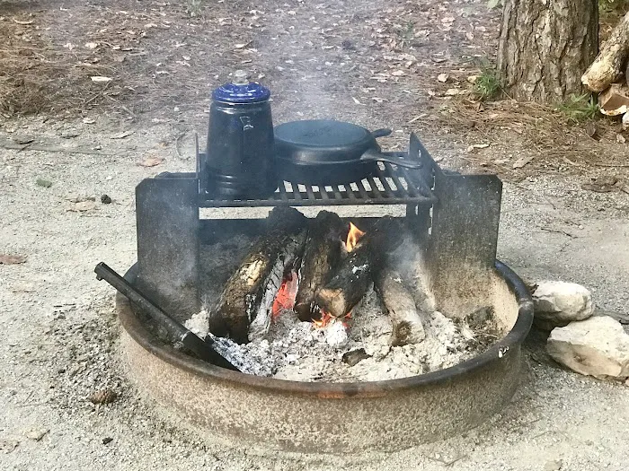 The Pines Campground Picture 4
