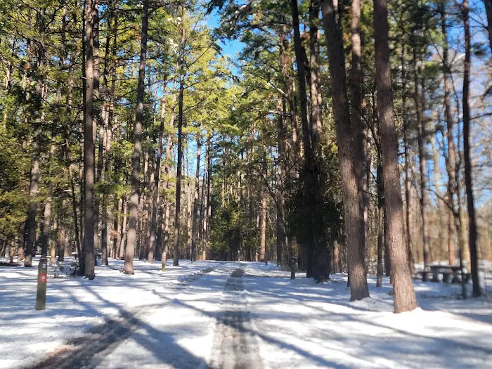 The Pines Campground Picture 9