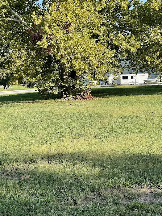 Dam Site Lake Campground Picture 4