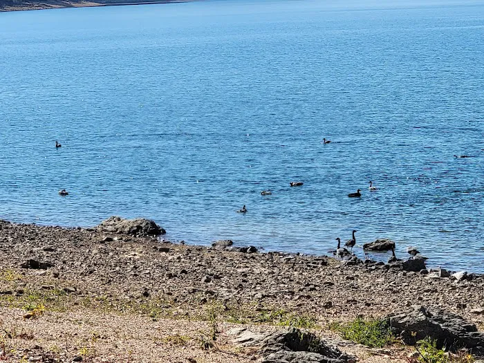 Dam Site Lake Campground Picture 7