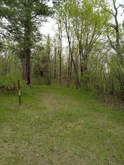 Schoolcraft Campground Picture 2