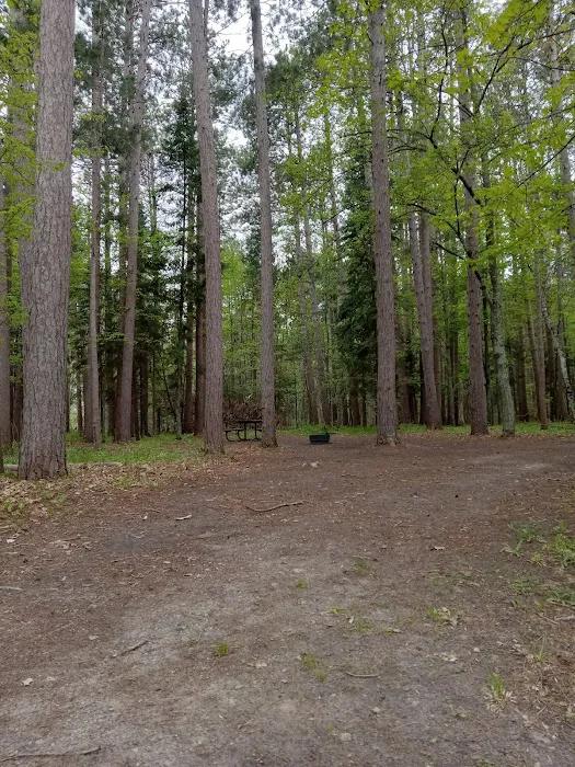 Schoolcraft Campground Picture 4