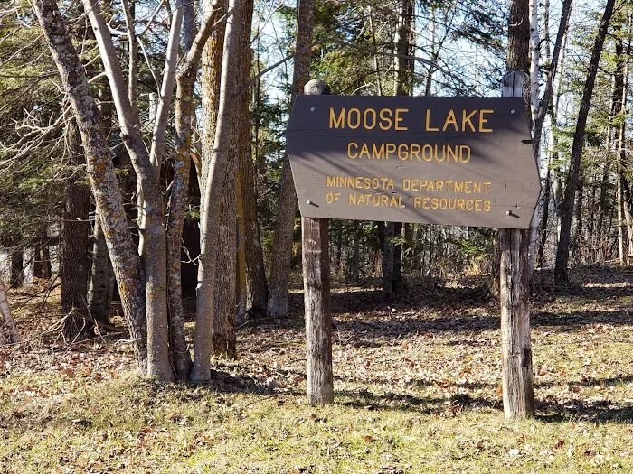 Moose Lake Campground Picture 5