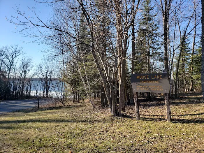 Moose Lake Campground Picture 8