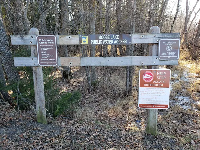 Moose Lake Campground Picture 10