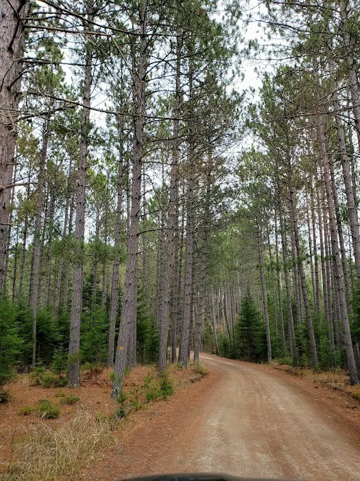 Cottonwood Lake Campground Picture 6