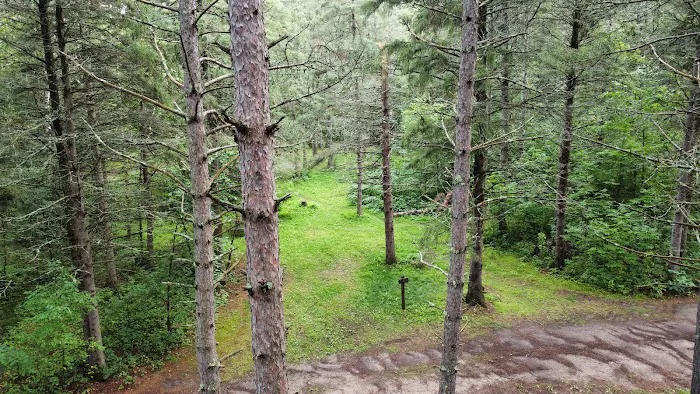 Cottonwood Lake Campground Picture 4