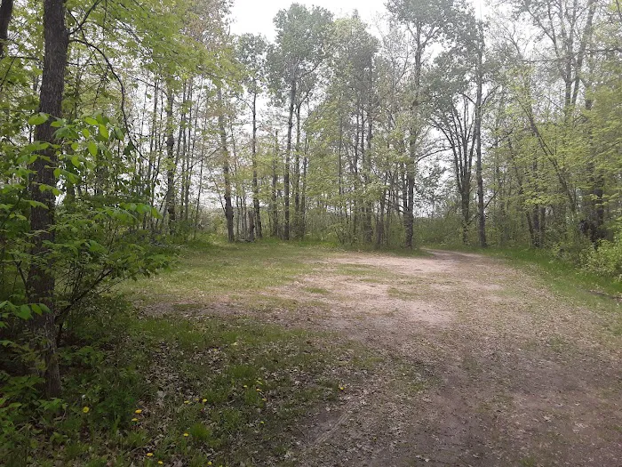 Mississippi leech river boat ramp Picture 3