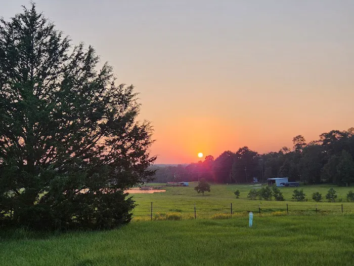 Sunset RV Park & Cabins Picture 2