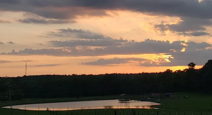 Sunset RV Park & Cabins Picture 3